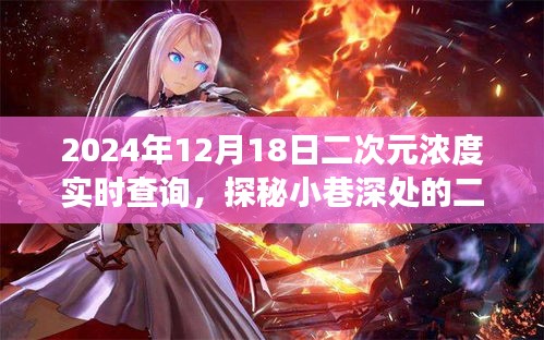 探秘二次元濃度圣地,小巷深處的次元奇遇記(2024年12月18日實時查詢)