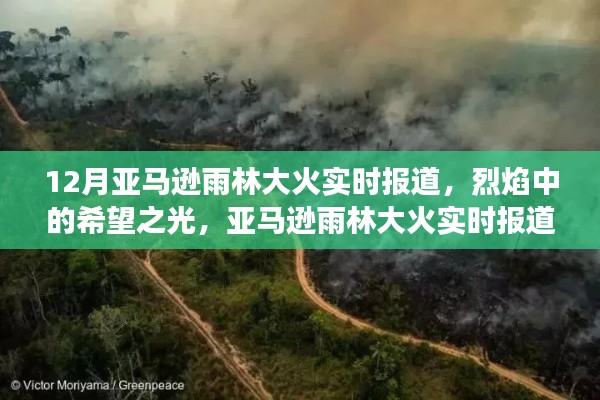 亞馬遜雨林大火實時報道，烈焰中的希望與挑戰，啟示背后的故事與反思