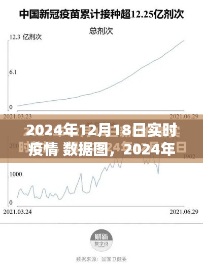 2024年實時疫情數據圖深度評測與介紹