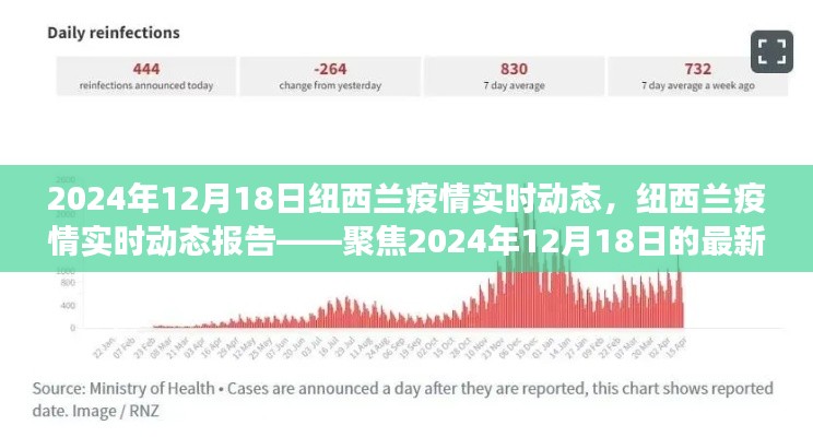 紐西蘭疫情最新進展報告,聚焦2024年12月18日的科普解讀