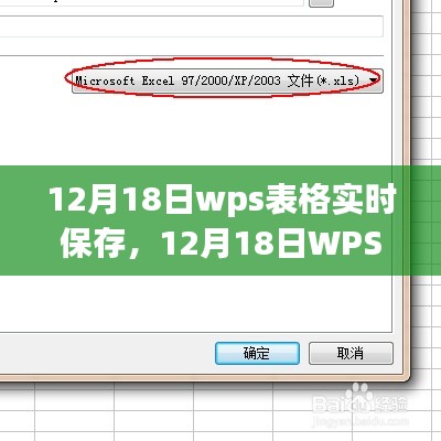 12月18日WPS表格實時保存設置，提升工作效率的關鍵