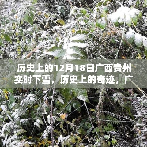 廣西貴州十二月十八日奇跡般的雪景歷史紀實