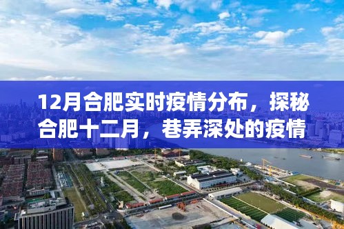 合肥十二月疫情探秘,巷弄深處的實(shí)時(shí)分布與獨(dú)特小店的故事