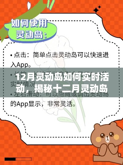 揭秘十二月靈動(dòng)島,實(shí)時(shí)活動(dòng)指南與精彩體驗(yàn)