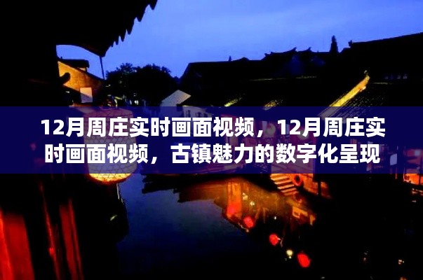 數字化呈現周莊古鎮的冬季魅力實時畫面視頻