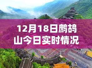 鷓鴣山今日實(shí)時(shí)情況，特色小店帶你領(lǐng)略別樣冬日風(fēng)情，驚喜藏于深山之中
