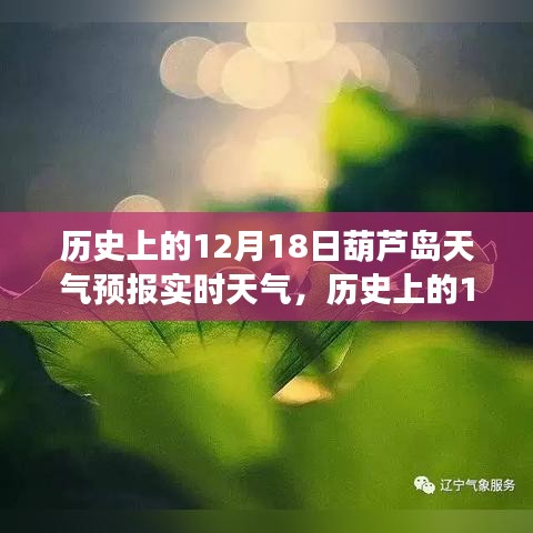 歷史上的12月18日葫蘆島天氣預報實時分析,天氣狀況與趨勢解讀