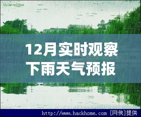 十二月的魔法時(shí)刻,雨中探索自然美景,與內(nèi)心的寧靜共舞的天氣之旅