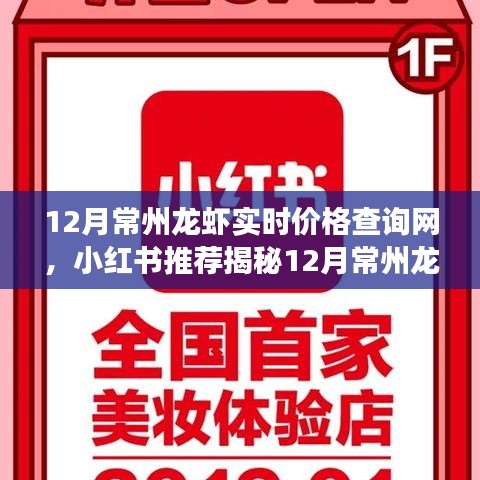 揭秘十二月常州龍蝦最新實時價格查詢攻略,小紅書推薦,輕松掌握市場走勢