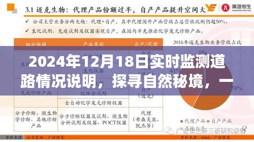 探尋自然秘境的心靈之旅,2024年12月18日實時監測道路情況深度解析