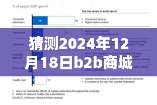 深度評測，預測與解析2024年12月18日B2B商城實時票據特性、體驗、競品對比及用戶群體分析