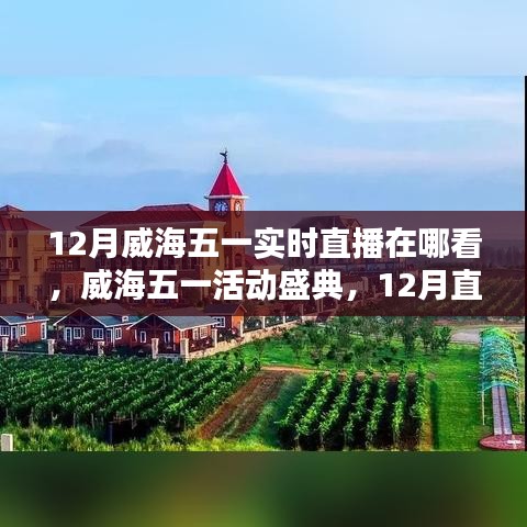 威海五一盛典直播回顧與活動影響力深度探討，直播盛宴與影響探索