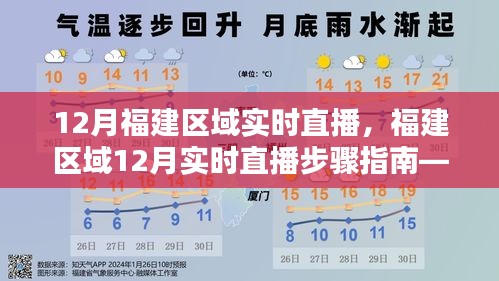 福建區域直播指南,12月實時直播步驟與初學者進階用戶共融寶典