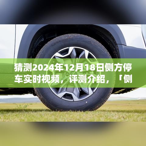 側(cè)方停車技術(shù)展望，2024年的停車體驗(yàn)革新實(shí)時(shí)視頻評測介紹