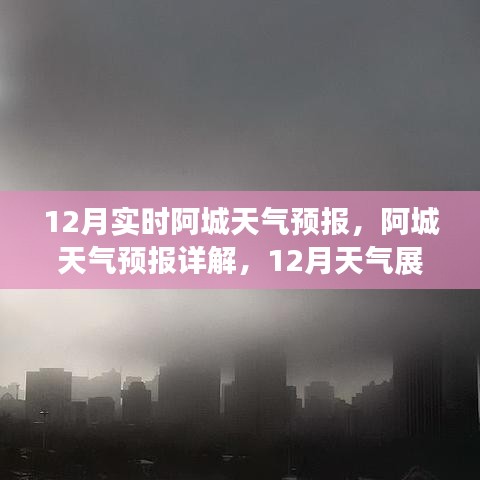 阿城天氣預報詳解,12月氣象展望與特點分析