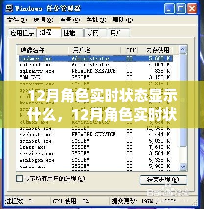 揭秘十二月角色實時狀態,重要性、解讀與深入探索