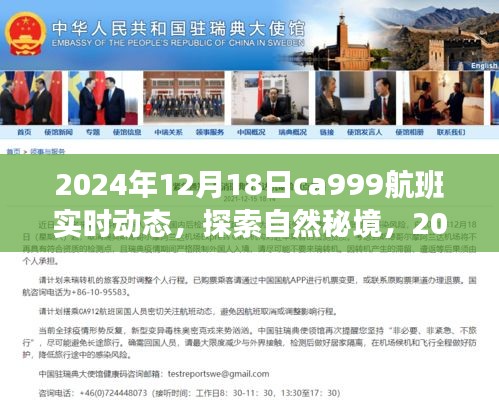 探索自然秘境,揭秘CA999航班實時動態與奇妙之旅