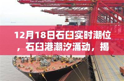 揭秘石臼港潮汐涌動，12月18日實時潮位深度解析