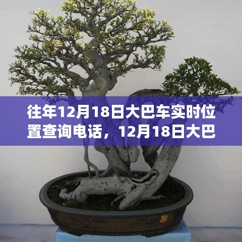 技術(shù)革新與出行變革,追溯大巴車定位查詢熱線的發(fā)展歷程
