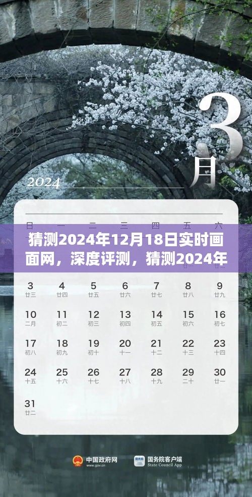 深度評測，2024年實時畫面網特性、體驗、競品對比及用戶群體分析