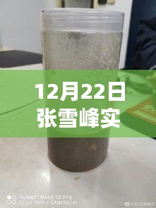 張雪峰老師12月22日實時動態報名指南，適合初學者與進階用戶的報名步驟全解析