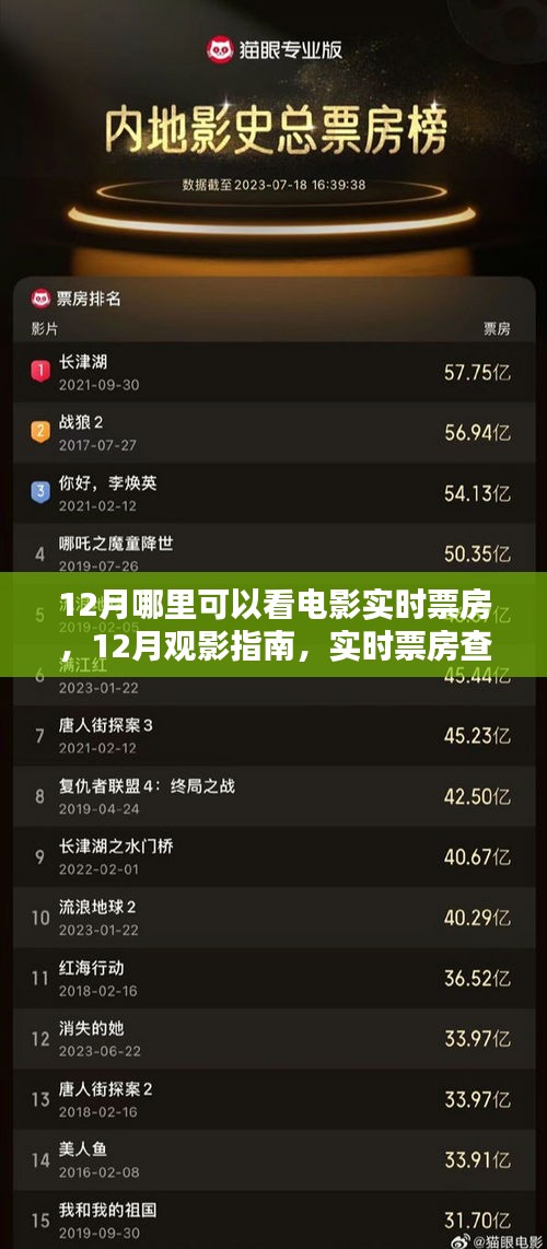 12月觀影指南,實時票房查詢全攻略與電影熱門推薦