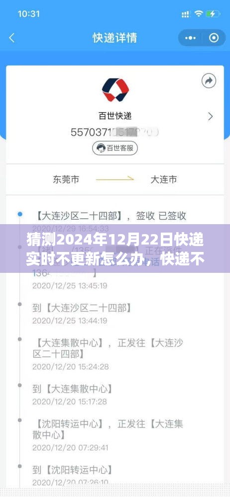 快遞實時更新故障應對指南，快遞不更新？日常冒險之旅中的溫馨解決方案