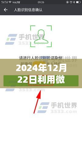 微信實時輸入數據庫操作指南，從初學者到進階用戶的全面指南（2024年12月22日更新）