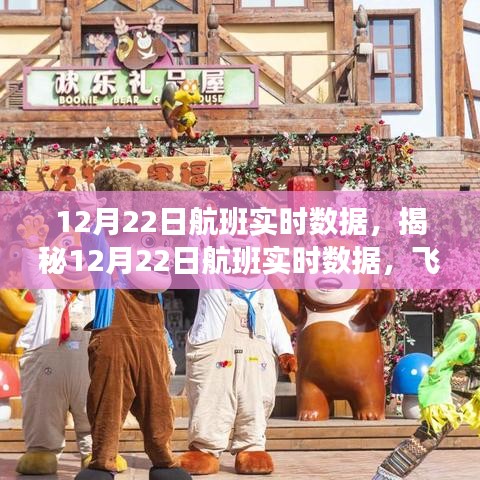 揭秘航班實時數據,科技視角下的飛行之旅洞察(12月22日)