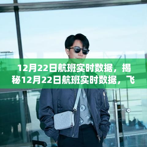 揭秘航班實時數據,科技視角下的飛行之旅洞察(12月22日)