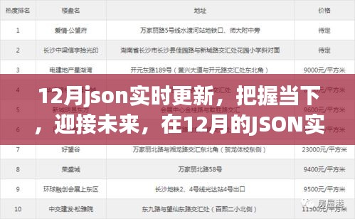 12月JSON實(shí)時(shí)更新,把握當(dāng)下,探索成長(zhǎng)力量,迎接未來挑戰(zhàn)