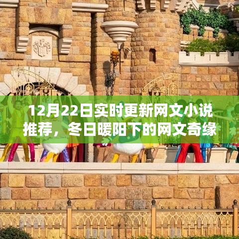 冬日暖陽下的溫馨網(wǎng)文奇緣，實時更新小說推薦