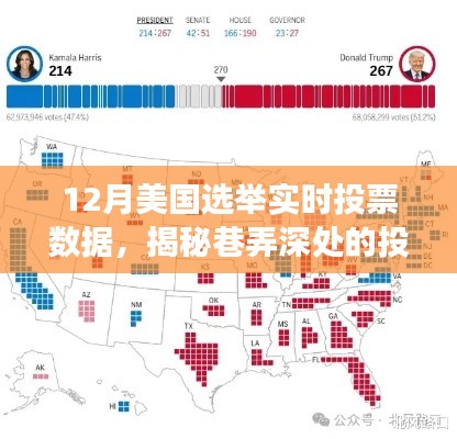 揭秘美國選舉風云，巷弄深處的投票數據寶藏親歷之旅