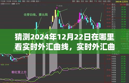 2024年12月22日實時外匯曲線預測與最佳觀看平臺深度評測