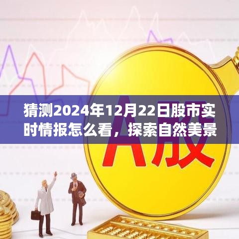 股市實時情報與探索自然美景之旅,股市之外的心靈平和與寧靜探尋之路