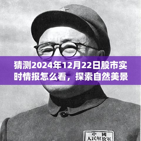 股市實時情報與探索自然美景之旅,股市之外的心靈平和與寧靜探尋之路