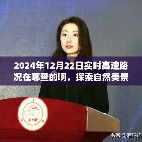探索自然美景之旅，實時高速路況查詢指南與尋找內(nèi)心平靜的旅程
