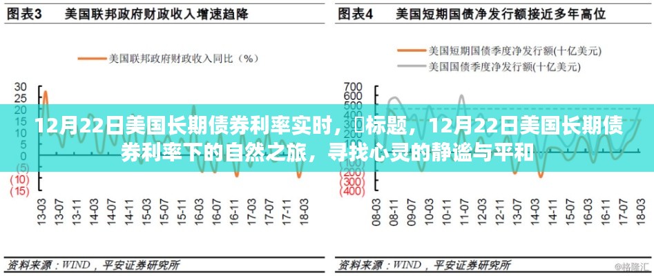 探尋心靈靜謐之旅,美國長期債券利率下的市場觀察與感悟(12月22日實(shí)時(shí)更新)