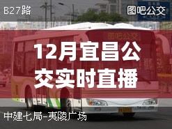 掌握出行信息必備，宜昌公交實時直播電話在線直播服務啟動