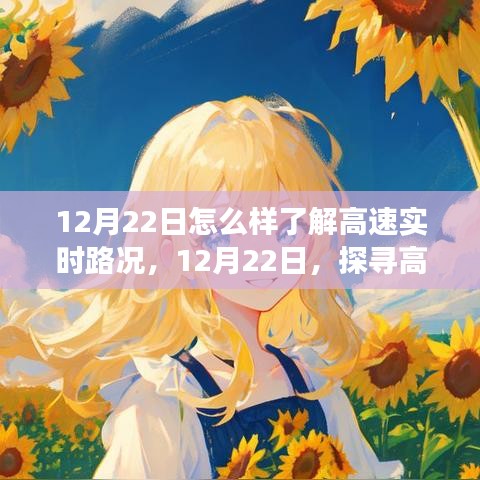 12月22日,探尋高速實時路況的洞察之旅,掌握實時路況信息!