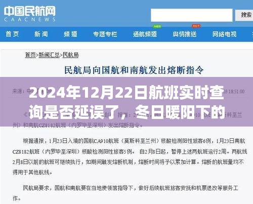 冬日暖陽下的飛行奇遇,航班延誤時光與好友共度