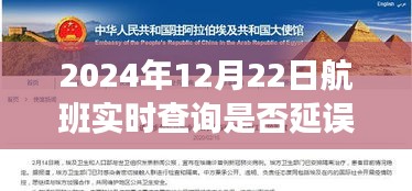 冬日暖陽下的飛行奇遇,航班延誤時光與好友共度