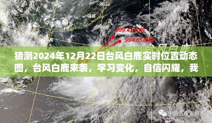 臺風白鹿來襲,冒險之旅中的自信閃耀與實時動態圖預測學習筆記