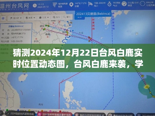 臺風白鹿來襲,冒險之旅中的自信閃耀與實時動態圖預測學習筆記
