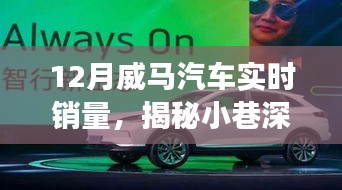 揭秘威馬汽車銷量背后的秘密故事，小巷深處的風景與隱藏式特色小店，實時銷量分析十二月篇
