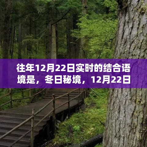 冬日秘境,與自然共舞的日子,12月22日的魔法時刻