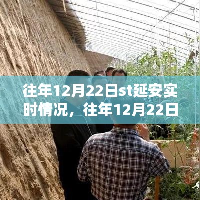 往年12月22日ST延安實時情況詳解，掌握攻略，輕松完成任務！