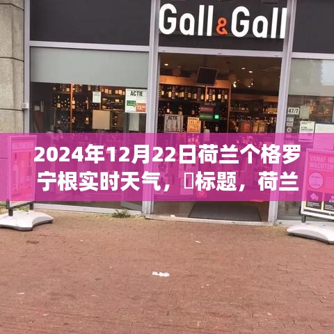 荷蘭格羅寧根實時天氣探索,追尋自然美景與心靈寧靜的奇妙之旅(2024年12月22日)