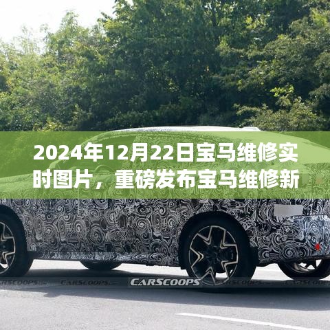 重磅發布，寶馬維修新紀元實時圖片體驗，領略高科技維修的魅力（附時間戳）