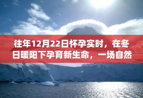 冬日暖陽(yáng)下的孕育之旅,自然美景探索與孕育新生命紀(jì)實(shí)